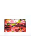Mask Category 1 Red Peonies print