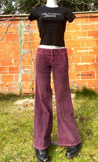 Pantalon Crimson. Velours violet. Stretch. Pat d'eph, taille basse