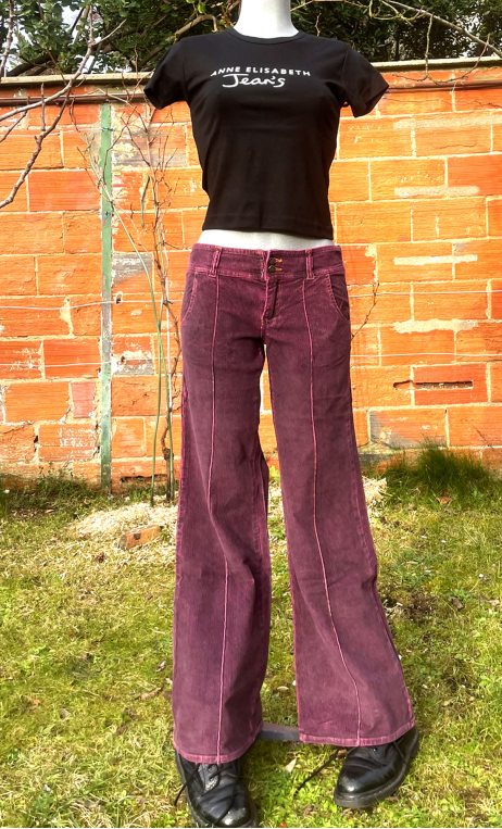 Pantalon Crimson. Velours violet. Stretch. Pat d'eph, taille basse