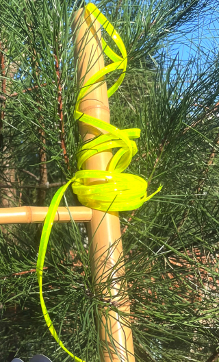 Passepoil fluo réfléchissant, plastique, mercerie