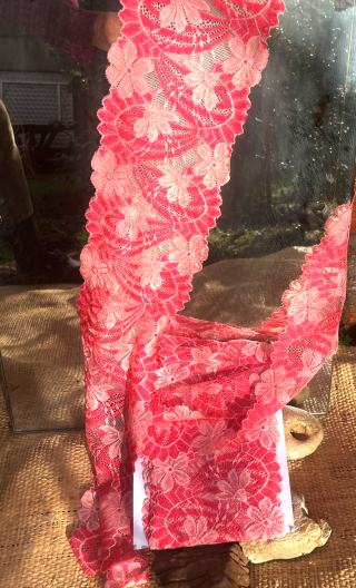 Bande dentelle Fard impératrice, mercerie, 15 cm