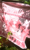Chute de production. Oasis rose - 1