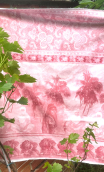 Chute de production. Oasis rose - 3