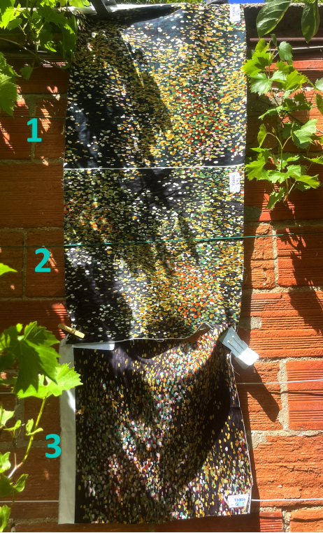 Swatch.  Trilogie Champ de fleurs - 1