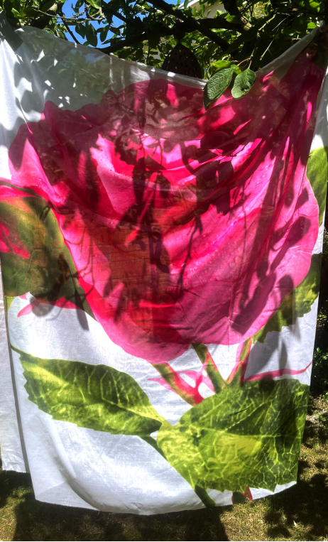 ... Pareo La Rose. Rose - 1