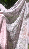 Coupon. Dentelle et rubans rose - 1