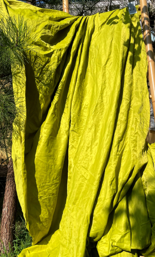 Métrage vendu au mètre. Girly citron vert - 1