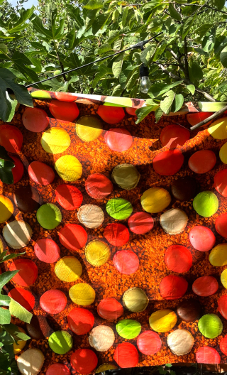 Coupon. Gourmandise sur coton - 2