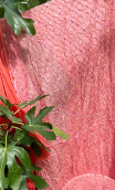 a a Coupon vendus en 4 lots. Soie tie and dye corail - 3