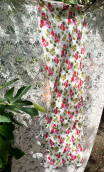 Tirelle. Dentelle fleurie rose et vert - 1