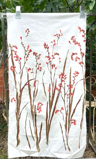 a Chute de production. Gabardine Iris - 1