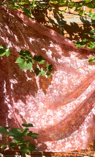 Coupon. Organza dévoré rose saumon - 1
