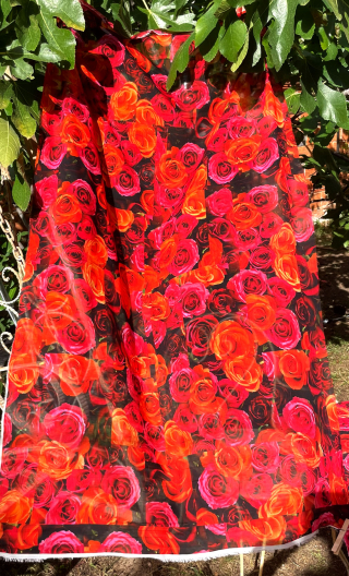 Coup de cadre. Flamenco voile - 1