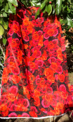 Coup de cadre. Flamenco voile - 1