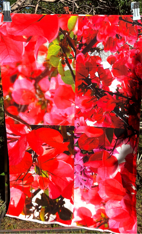 Coup de cadre sur portant. Bougainvillées popeline - 1